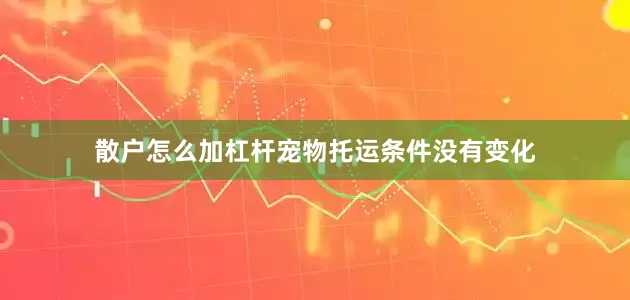 散户怎么加杠杆宠物托运条件没有变化