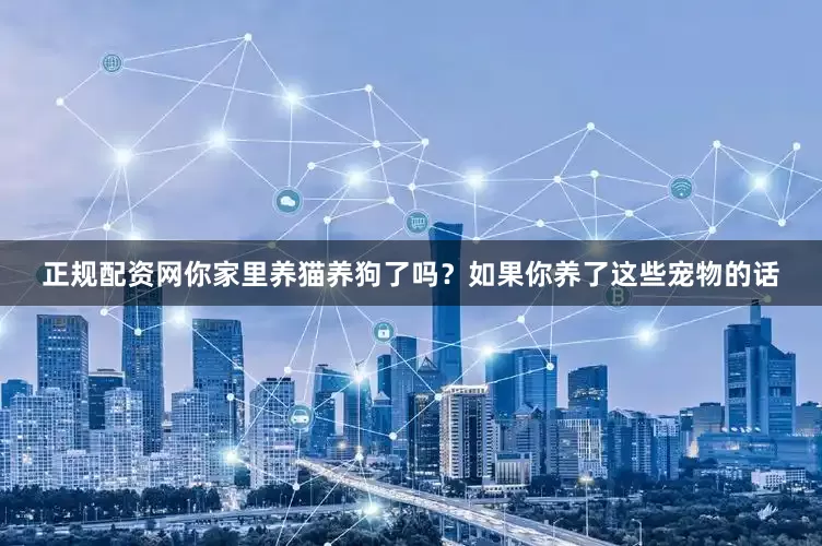 正规配资网你家里养猫养狗了吗？如果你养了这些宠物的话