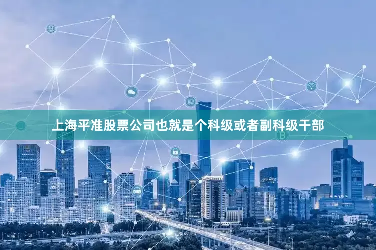 上海平准股票公司也就是个科级或者副科级干部