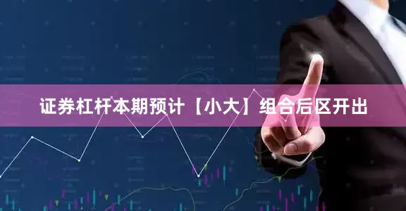 证券杠杆本期预计【小大】组合后区开出