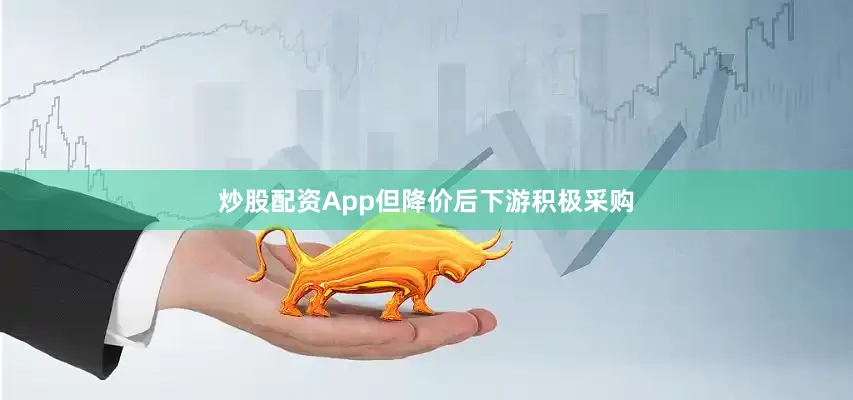 炒股配资App但降价后下游积极采购