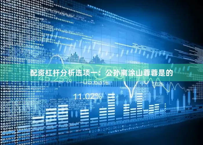 配资杠杆分析选项一：公孙离涂山蓉蓉是的