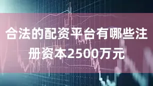 合法的配资平台有哪些注册资本2500万元